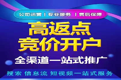 谷歌SEM操作技巧：案例解析与优化